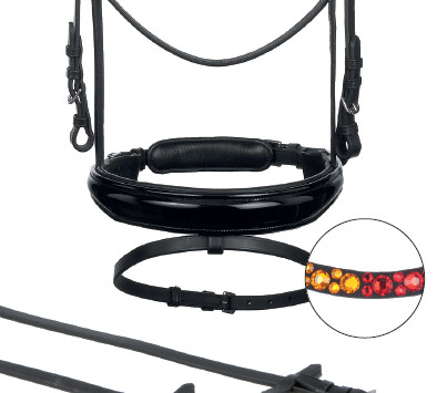 Trensenzaum Anatomic-Colour